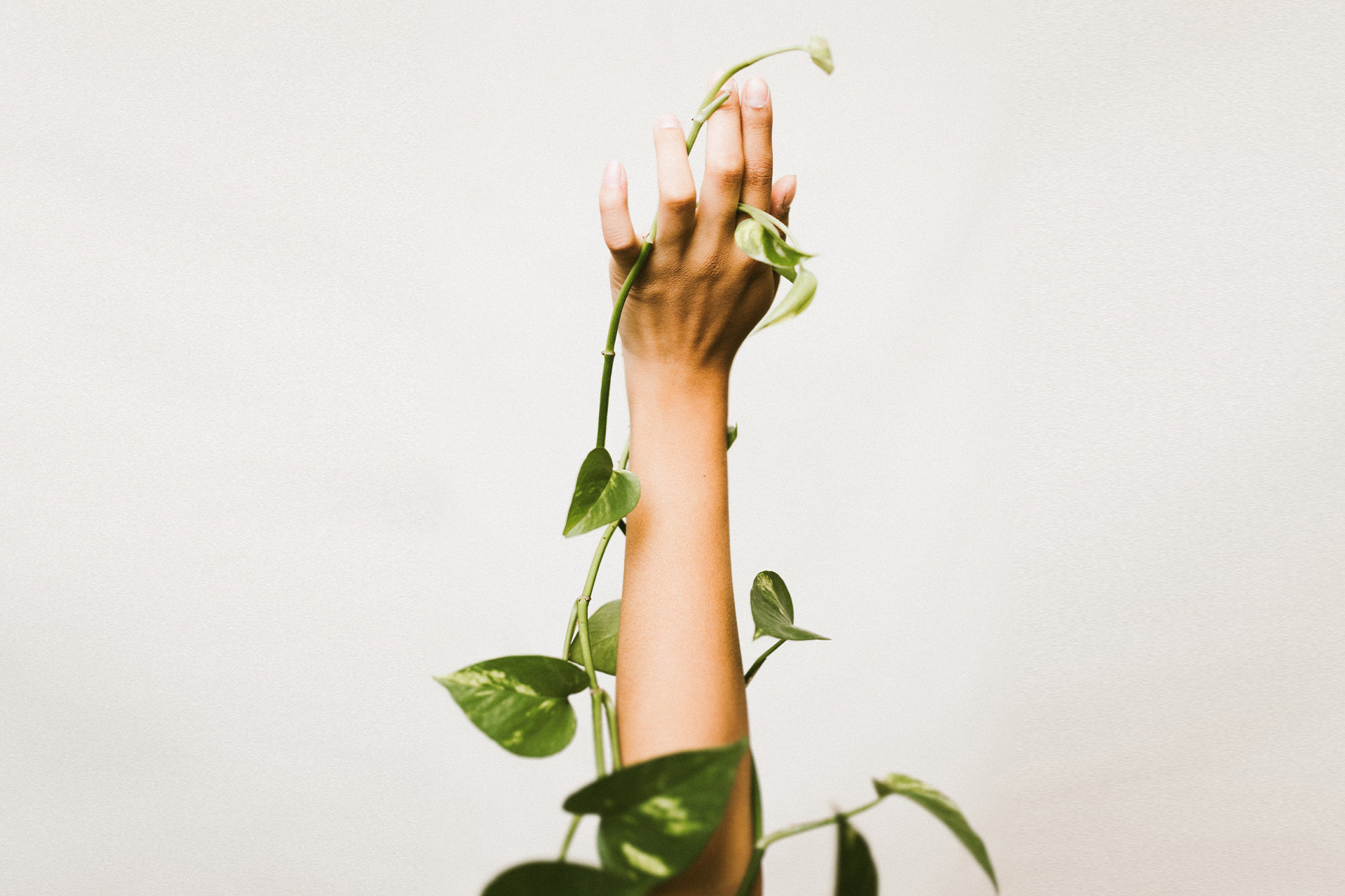 Arm-with-Plant.jpg
