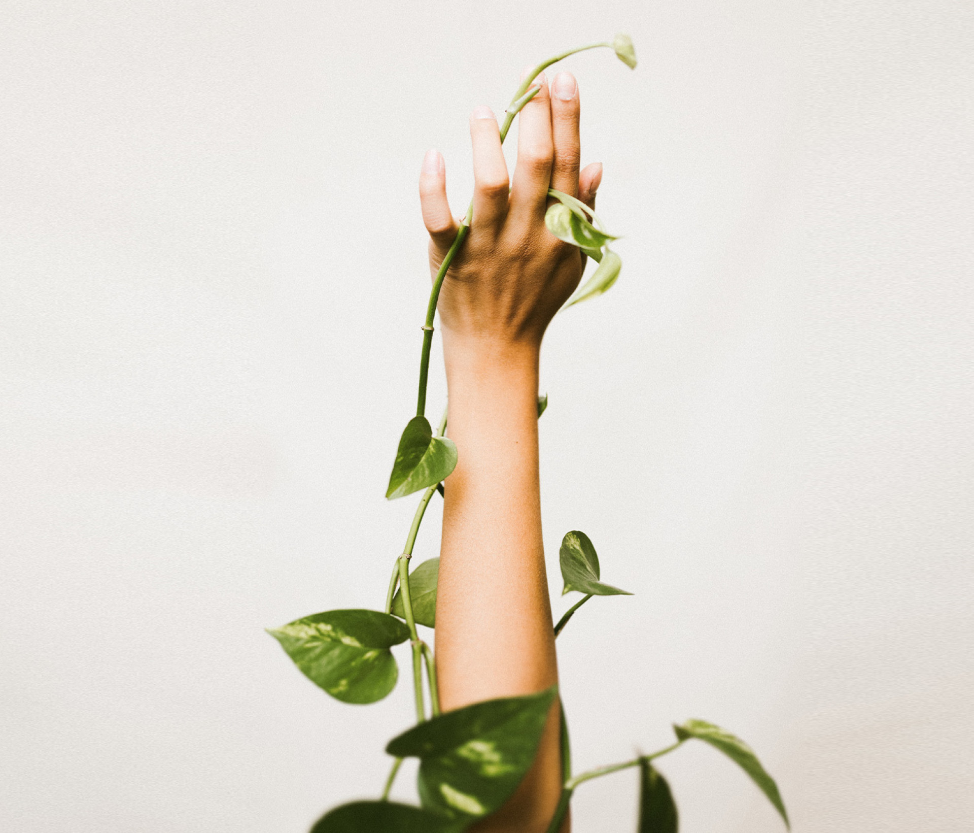 A raised hand covered with a plant