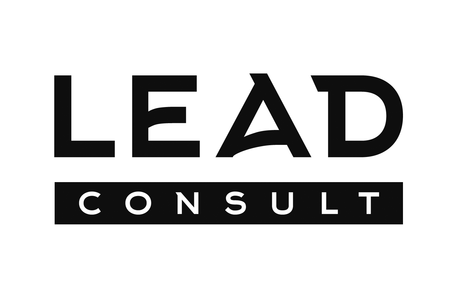Lead-Consult_Logo_Blue_RGB.png