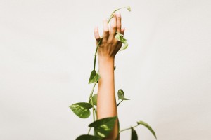 A raised hand covered with a plant